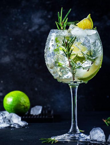 Gin Tonic Mare Gobelet de cocktail avec des herbes, des glaçons et une rondelle de citron.