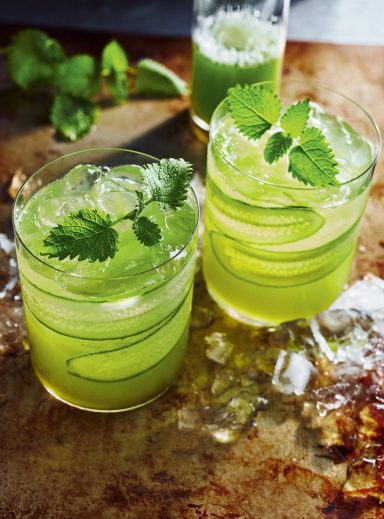 BASIL CUNCUMBER GIN COOLER Deux verres de cocktail vert garnis de feuilles de menthe, sur une surface en métal.